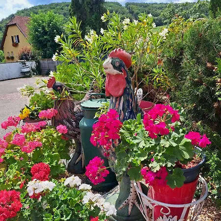 Domaine Du Vieux Moulin