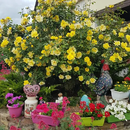 Apartment Domaine Du Vieux Moulin Westhalten