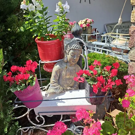 Apartment Domaine Du Vieux Moulin Westhalten