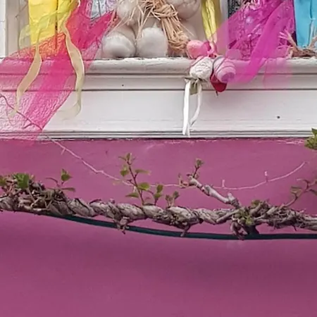 Domaine Du Vieux Moulin