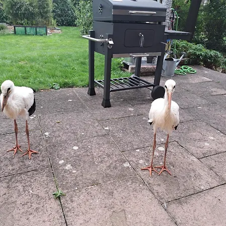 Apartament Domaine Du Vieux Moulin